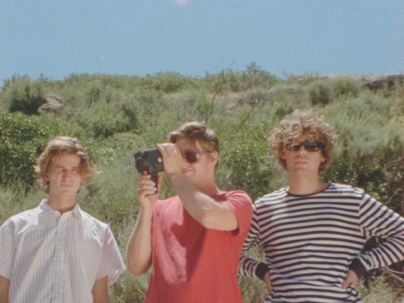 Essay by sandra nichols 05 picture